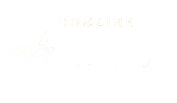 Logo-blanc